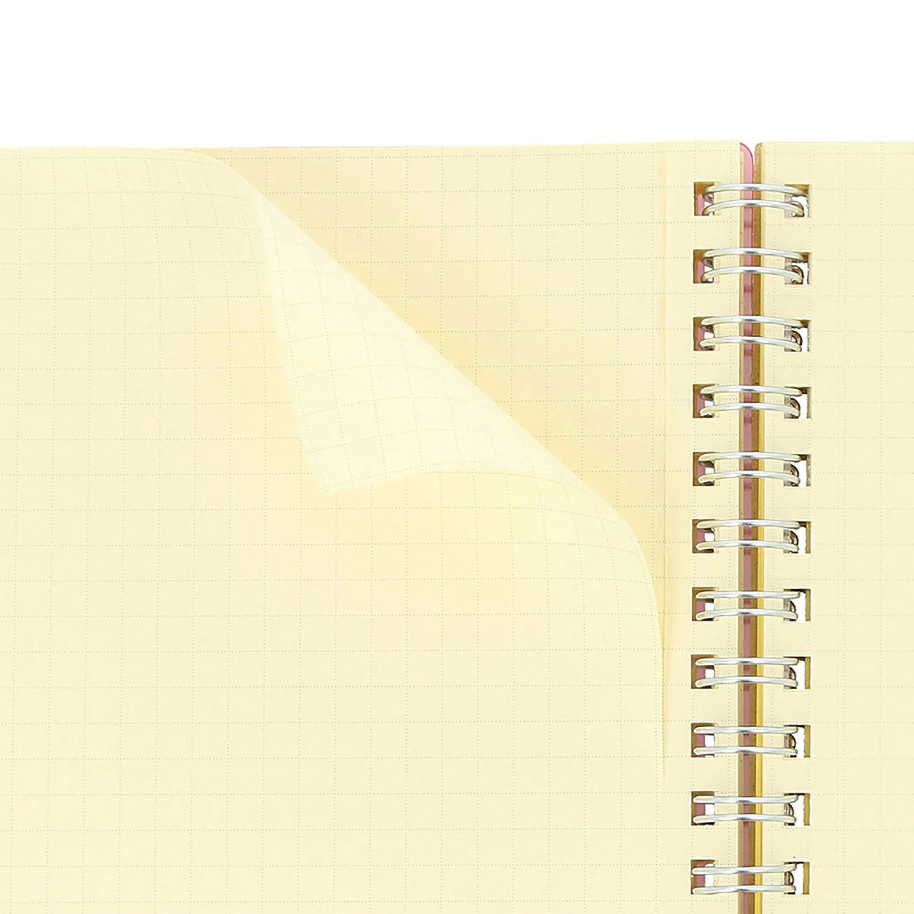 Rollbahn Large Spiral Notebook Clear - Image 11