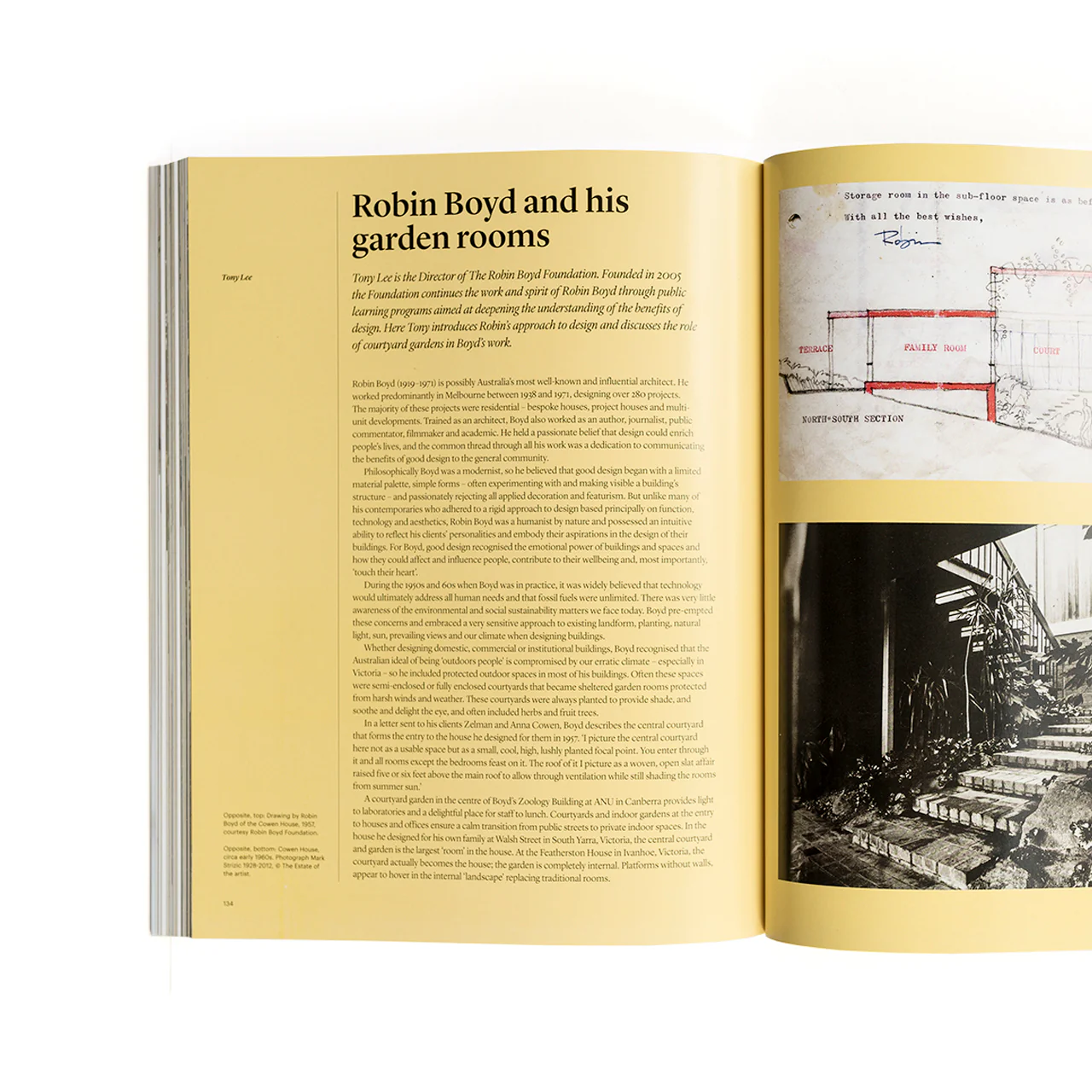 Indoor Green: Living with Plants - Image 4