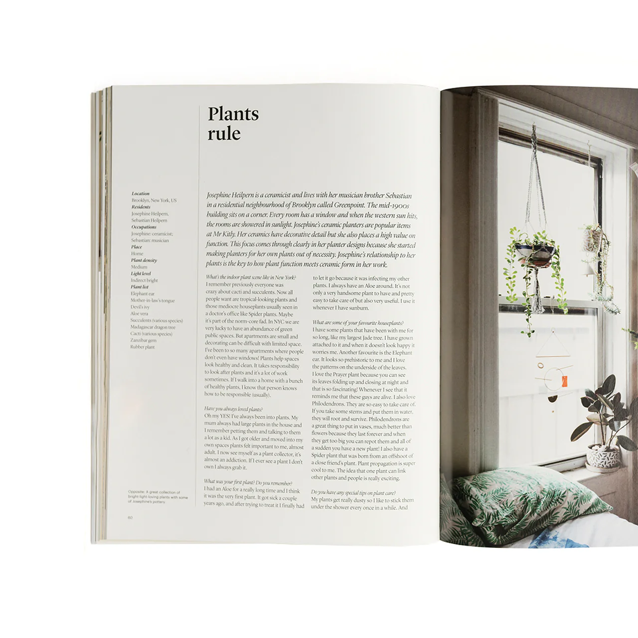 Indoor Green: Living with Plants - Image 5