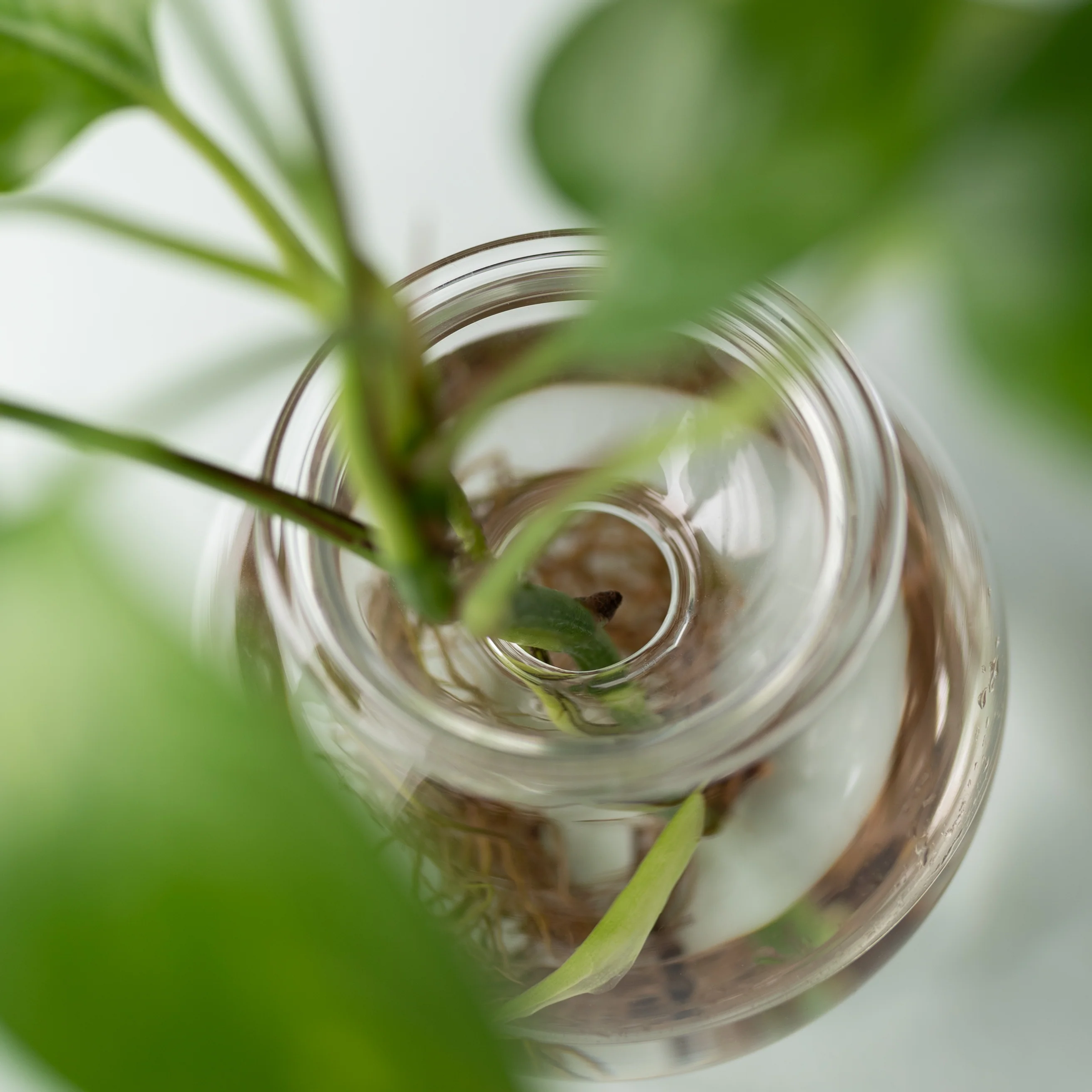 Bulb Planter 10cm Set of 2 - Image 4