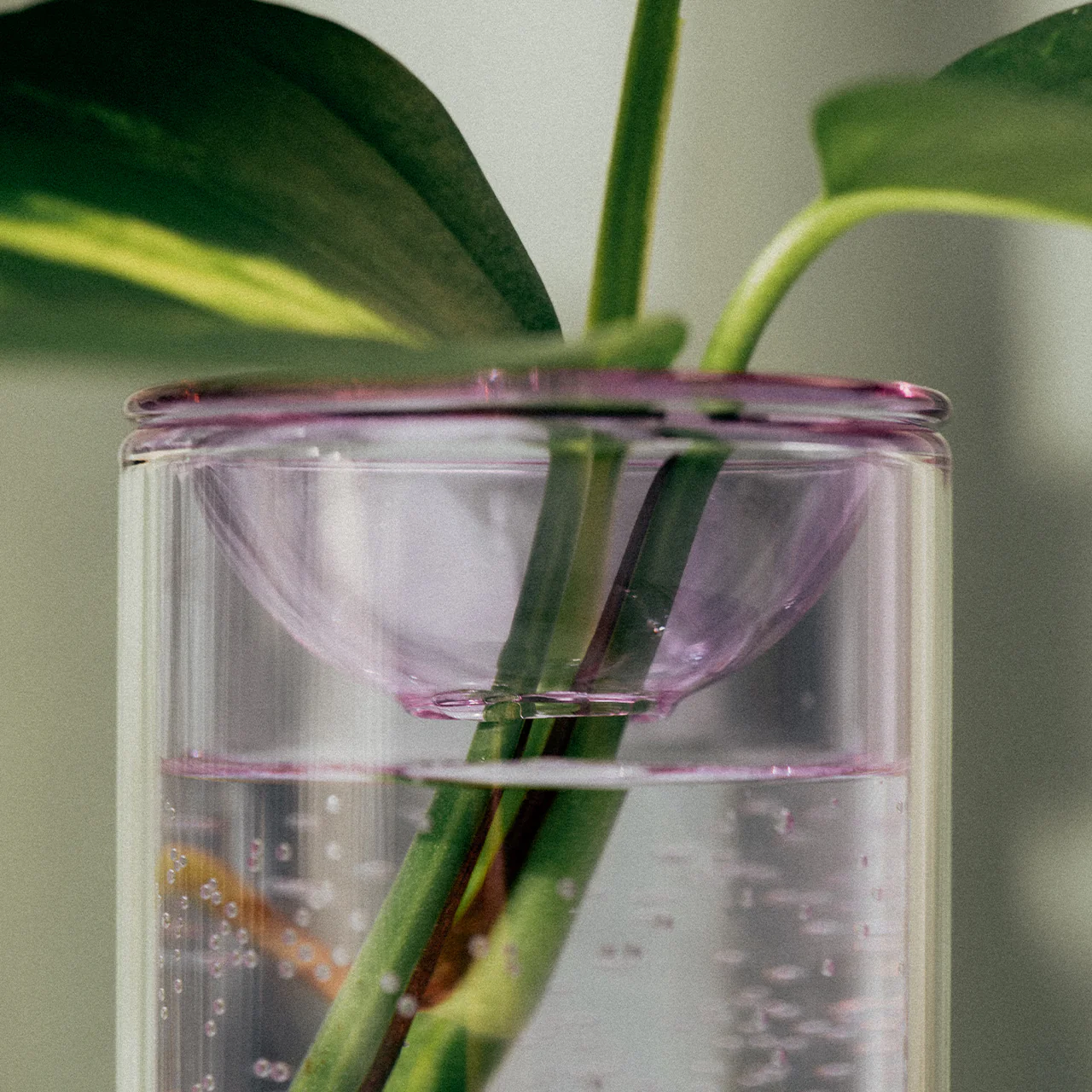 Propagation Vase - Image 5