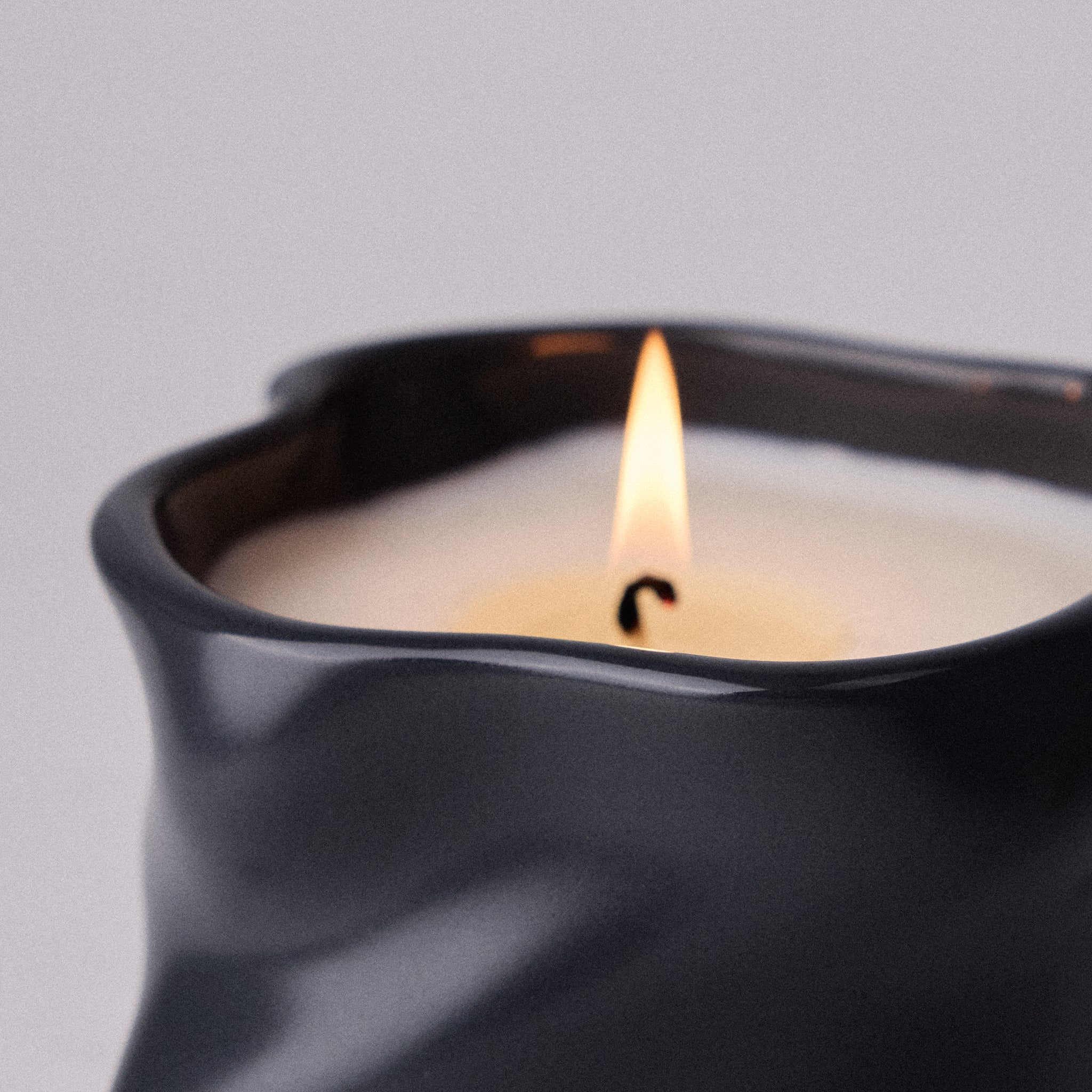 Study Of Trees Limited Edition Scented Candle - Image 4