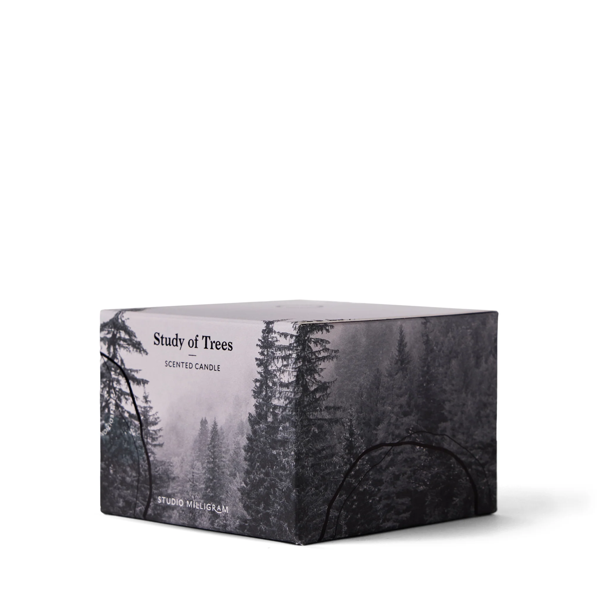 Study Of Trees Limited Edition Scented Candle - Image 5