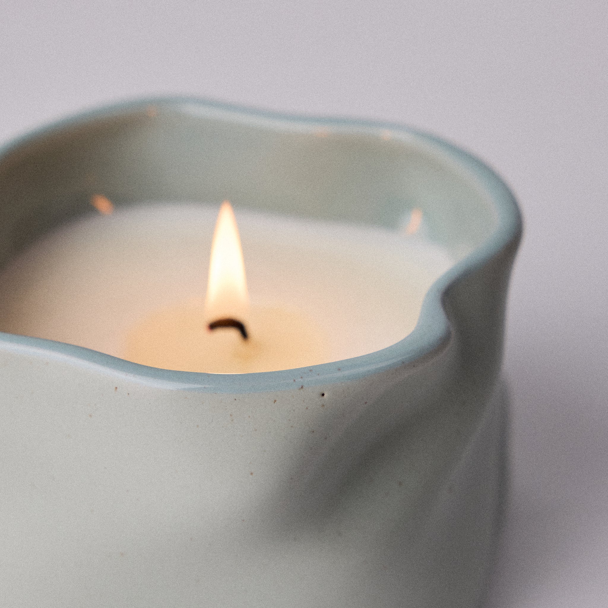 Study Of Trees Limited Edition Scented Candle - Image 8