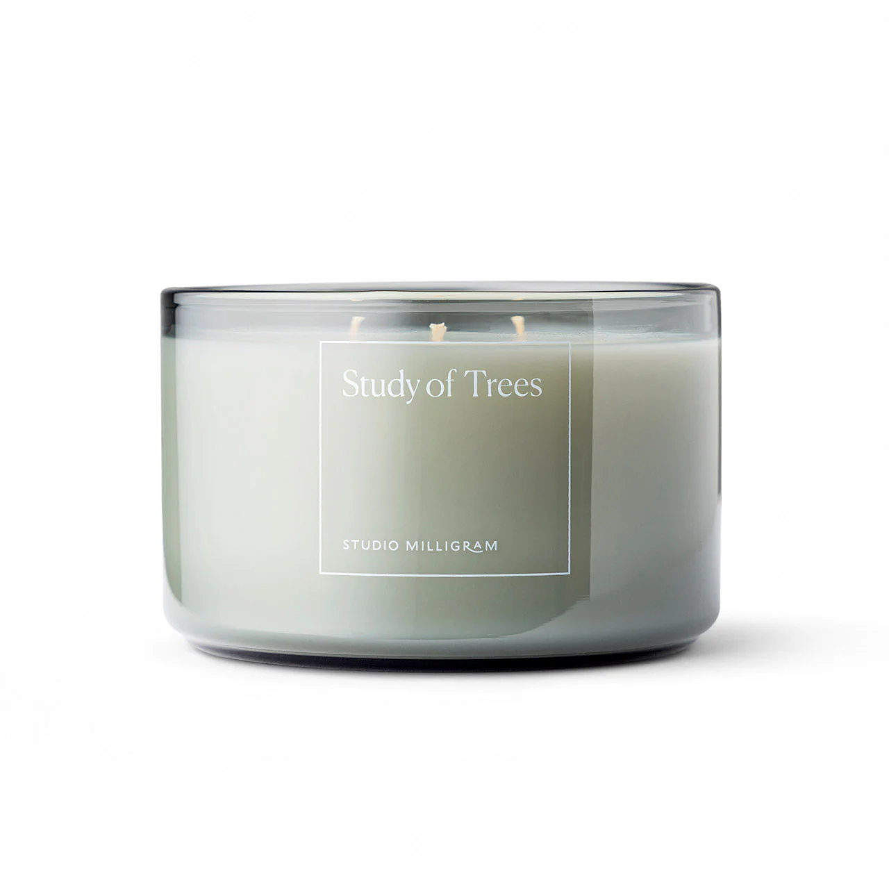 Study of Trees Three Wick Scented Candle 600g - Image 3